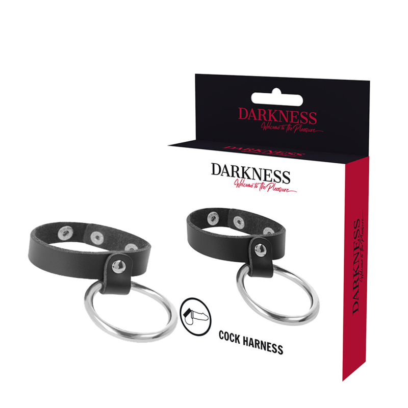 Penis ring DARKNESS METAL RING FOR THE PENIS AND TESTICLES