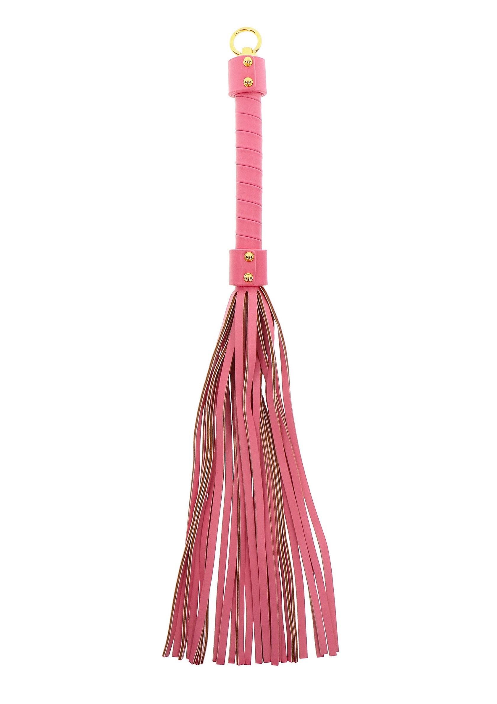 BDSM Whip