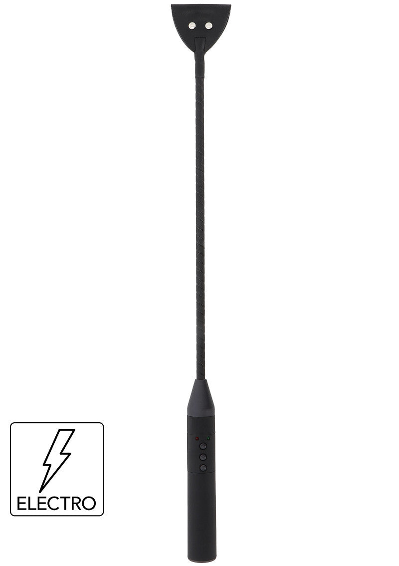 Extreme Hidden Desire Electric Bondage Whip