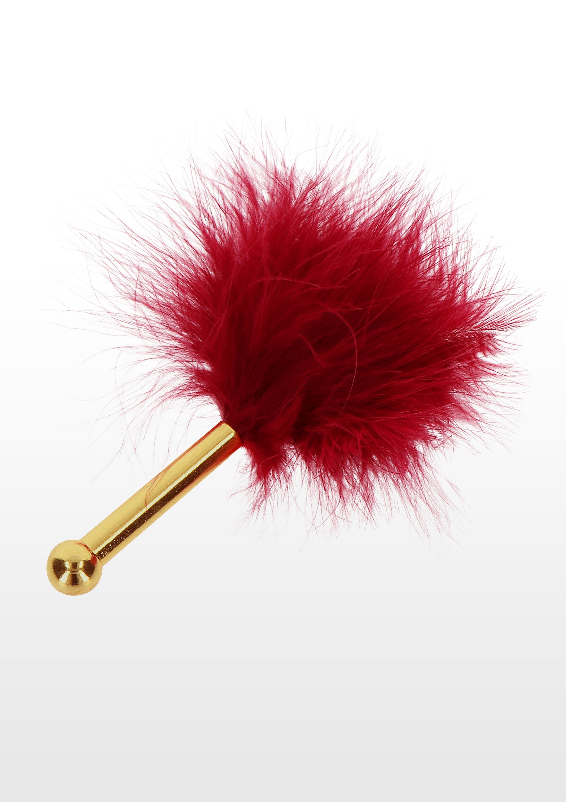 Feather Tickler Down Jacket